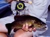image83.jpg